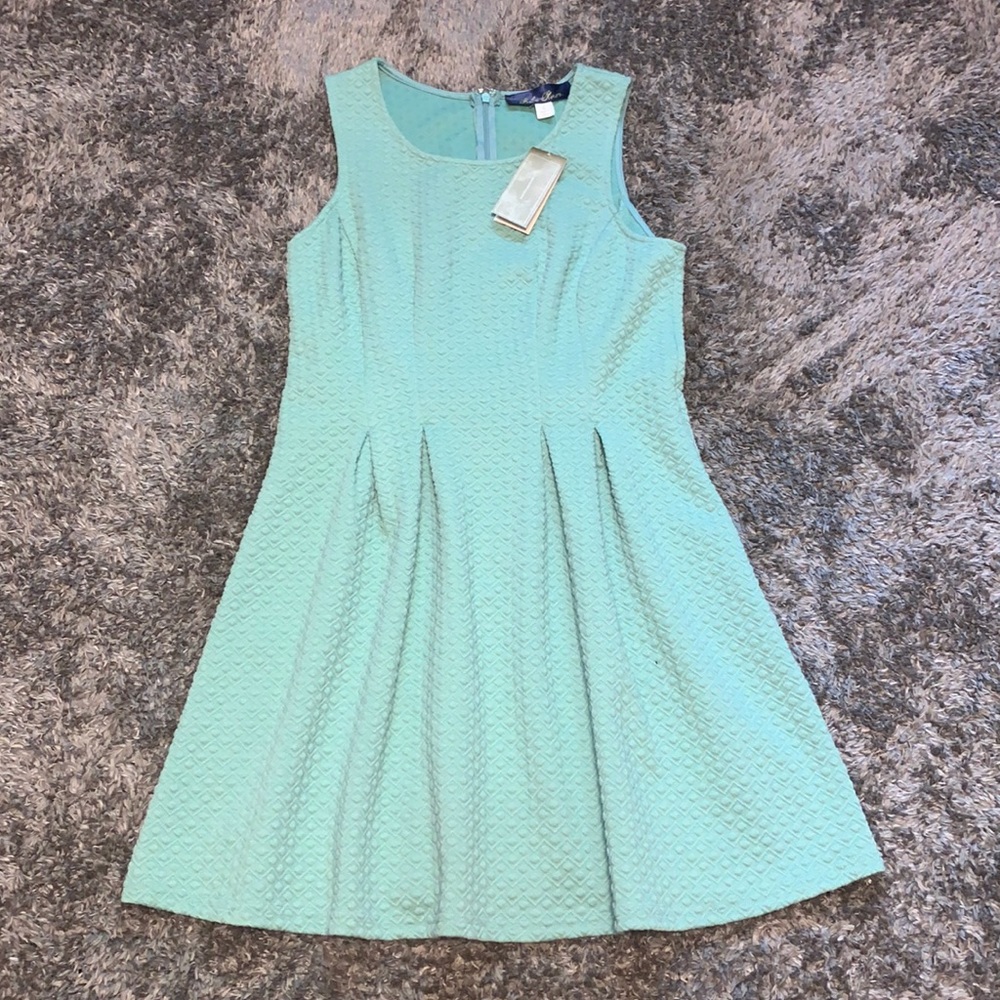 NWT Women’s Franseca Dress large green new with tags midi